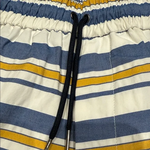 Aime Leon Dore Blue and Yellow Striped Swim Trunks - Picture 4 of 9